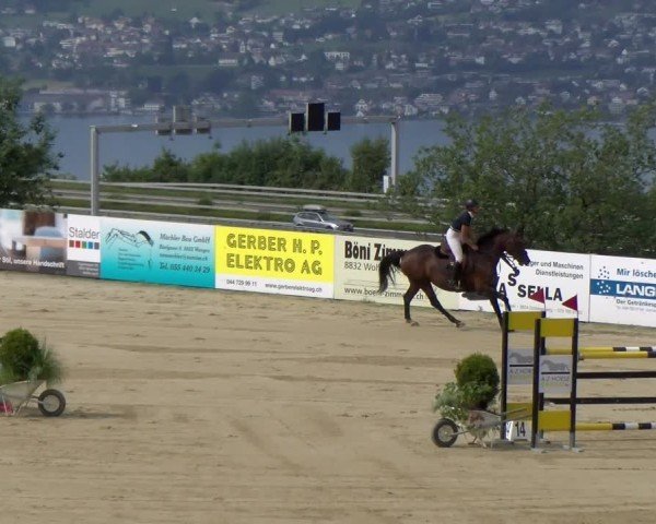 Reitturnier Wädenswil 2025