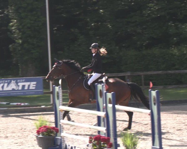 Reitturnier Klein Roscharden 2025
