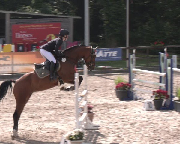Reitturnier Klein Roscharden 2025