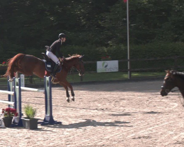 Reitturnier Klein Roscharden 2025