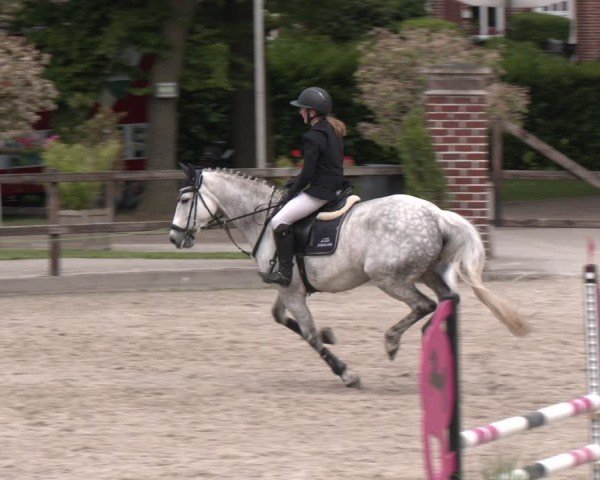 Reitturnier Klein Roscharden 2025