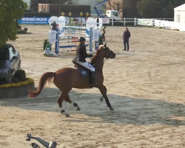 Lenklarer Reitertage 2014