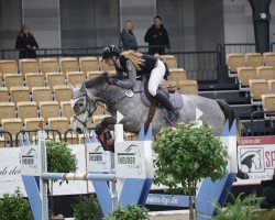 jumper Molly Malone W (Holsteiner, 2019, from Casall Ask)