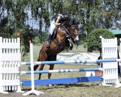 jumper Lilly 654 (Hanoverian, 2011, from Lamberk)