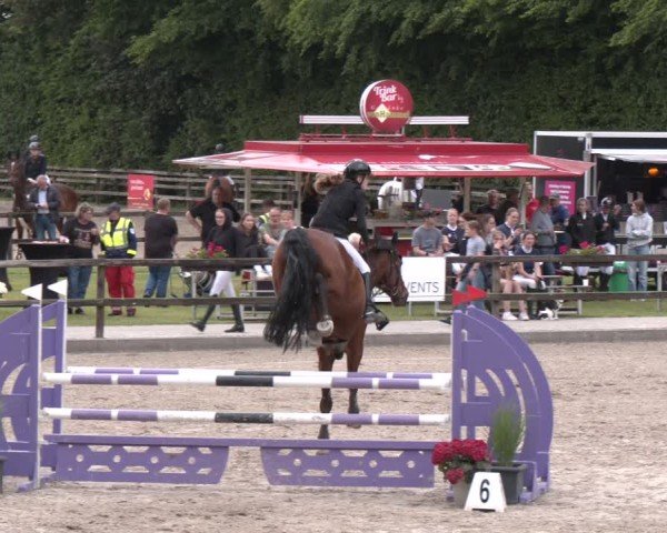 Reitturnier Klein Roscharden 2025