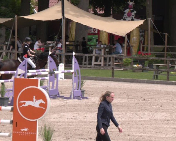 Reitturnier Klein Roscharden 2025
