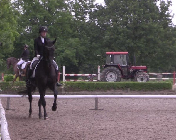 Reitturnier Hamm-Rhynern 2025