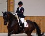 dressage horse Royal Flasky Jack (Hanoverian, 2008, from Royal Blend)