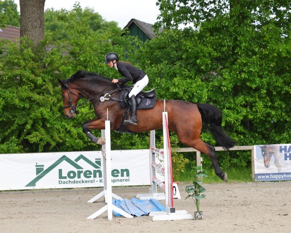 Springpferd Caluga A (Holsteiner, 2013, von Catoo)