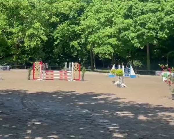 Video of Calasso PU