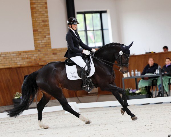 broodmare Loblied (Oldenburg, 2015, from Daily Deal)
