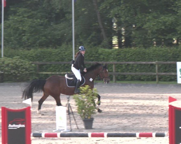 Reitturnier Klein Roscharden 2025