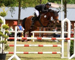 jumper Kentucky Vintage GH (Oldenburg show jumper, 2018, from Kannan)