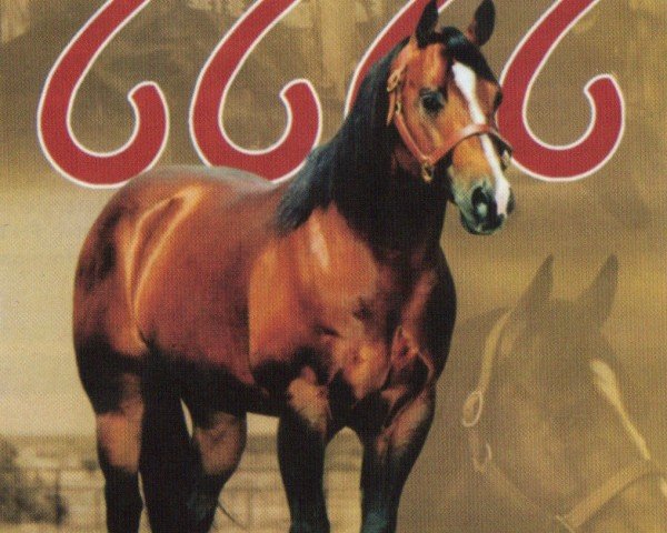 Pferd Paddys Irish Whiskey (Quarter Horse, 1991, von Peppy San Badger)