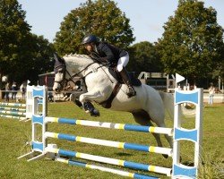 dressage horse Ganesha (German Riding Pony, 2009, from Greylight)