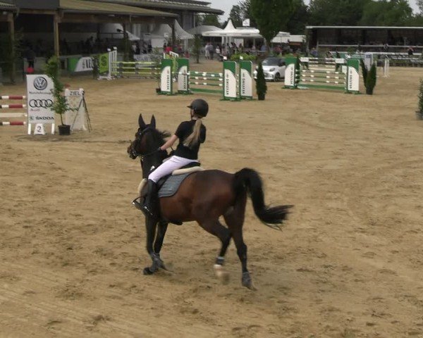 Reitturnier Hellefeld 2025