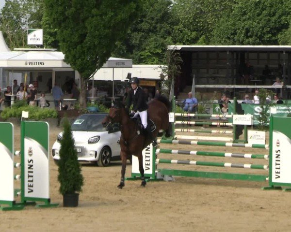Reitturnier Hellefeld 2025