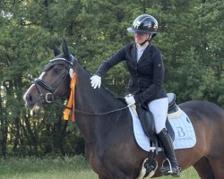 dressage horse Lola 290 (Hanoverian, 2011, from Laurice)