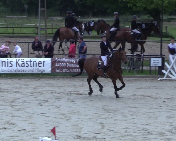 Reitturnier Hamm-Rhynern 2025