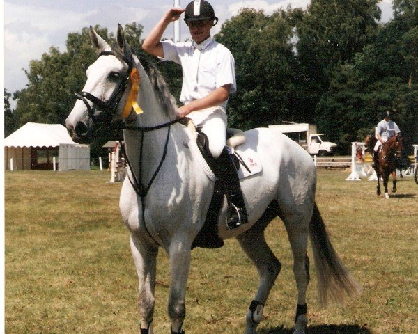 Pferd Cortina 128 (Oldenburger, 1997, von Come On)