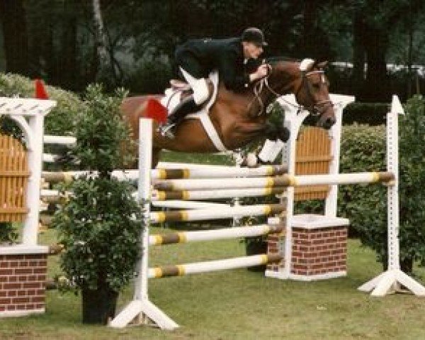 broodmare Waleska (Oldenburg, 1983, from Welt As)