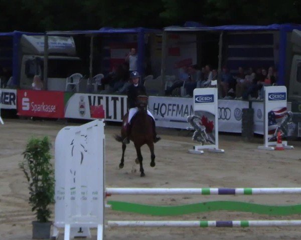 Reitturnier Hellefeld 2025