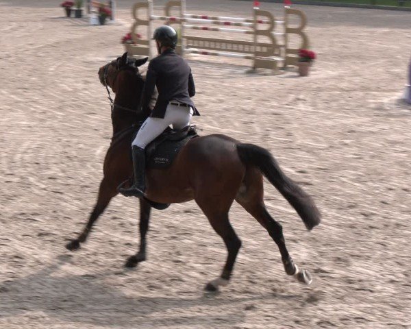 Reitturnier Klein Roscharden 2025