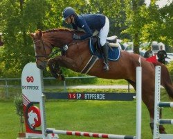 Springpferd Lakkazie (Zangersheide Reitpferd, 2010, von Tailormade Lawito)