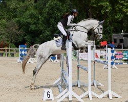 jumper Cockney JK (Hanoverian, 2018, from Cassus 2)