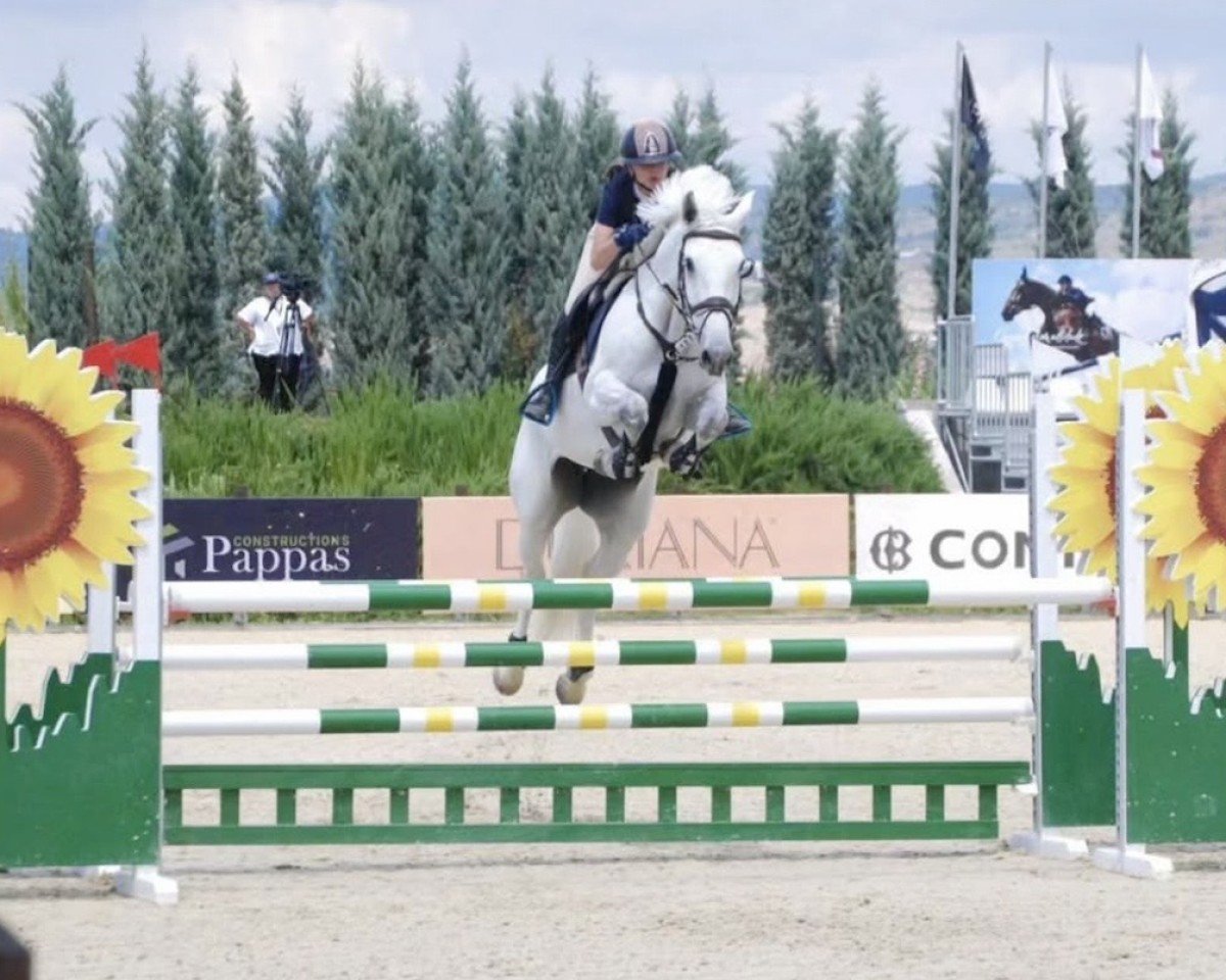 broodmare Madeira (Hungarian Warmblood, 2017, from Larinero)