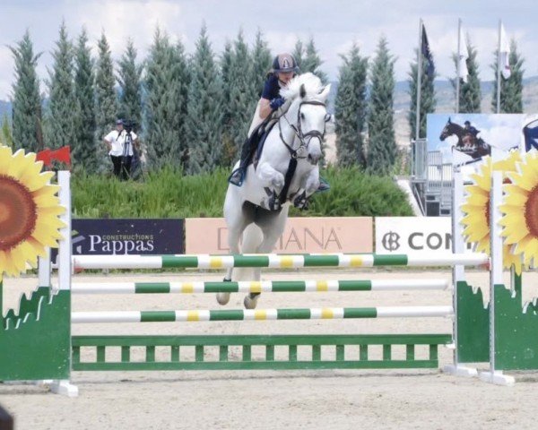 broodmare Madeira (Hungarian Warmblood, 2017, from Larinero)