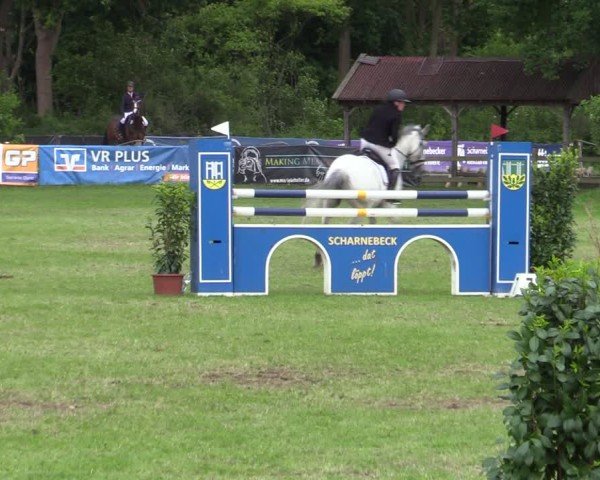 Reitturnier Scharnebeck 2025