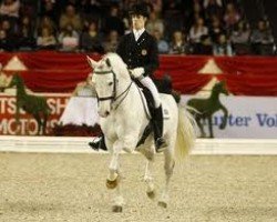 stallion Peralta dos Pinhais (Lusitano, 1996, from Hipolito)