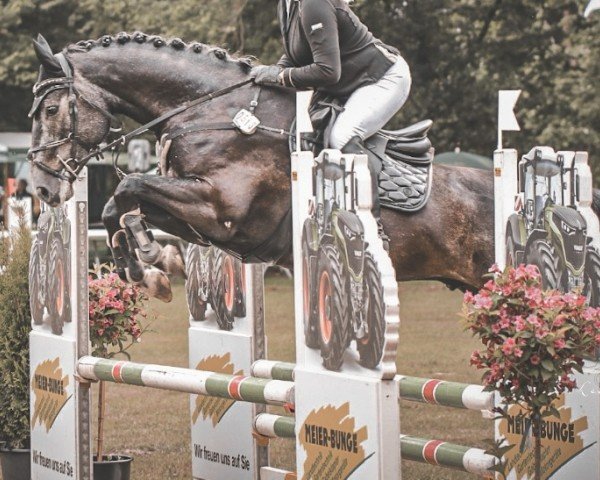 jumper Olympic Obsession (Hanoverian, 2020, from Origi D'o)
