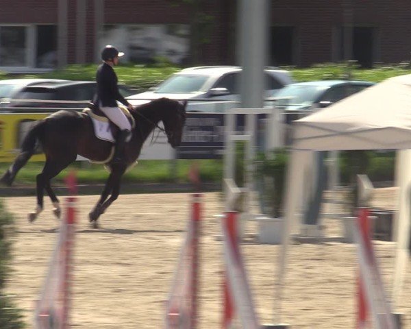 Reitturnier Langenfeld - Gut Langfort 2025