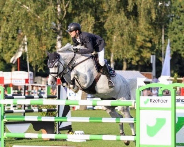 broodmare Call Me Sox (Holsteiner, 2007, from Catoki)