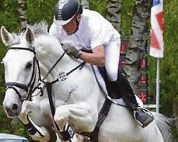 jumper Kiss PJ (Hanoverian, 2004, from Kolibri 2705)