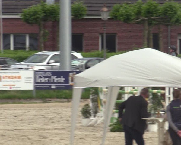 Reitturnier Langenfeld - Gut Langfort 2025
