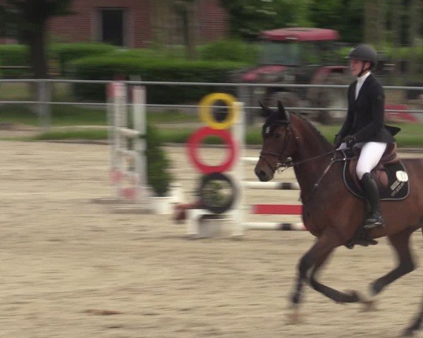 Reitturnier Langenfeld - Gut Langfort 2025