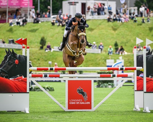 jumper Joriena V (KWPN (Royal Dutch Sporthorse), 2014, from Zirocco Blue)