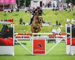 jumper Joriena V (KWPN (Royal Dutch Sporthorse), 2014, from Zirocco Blue)