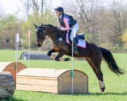 jumper Rosie Rosebud (Pony without race description, 2018)