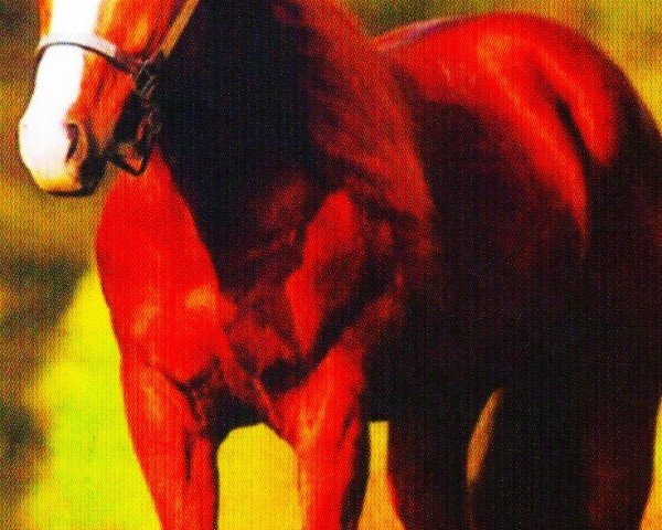 horse Trouble For You (Quarter Horse, 1991, from Smart Little Lena)