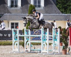 jumper Orlanda Gh (Rhinelander, 2018, from Orlando van de Heffinck)
