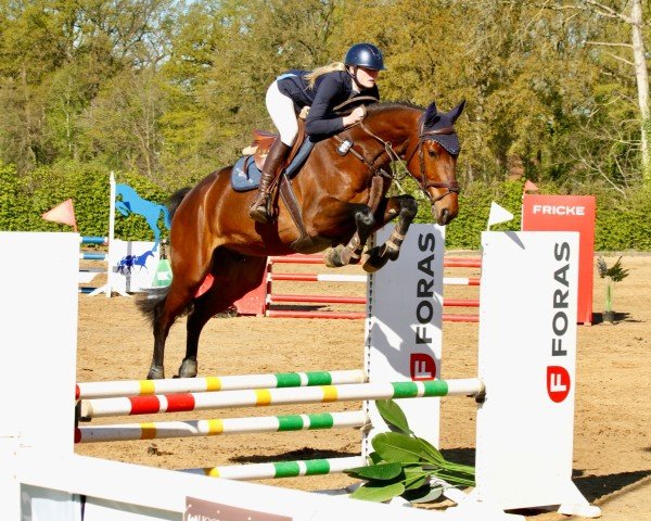 jumper Forsini KB (Hanoverian, 2021, from Forlee)