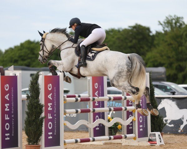 jumper Dewall S (Hanoverian, 2015, from Diacontinus)