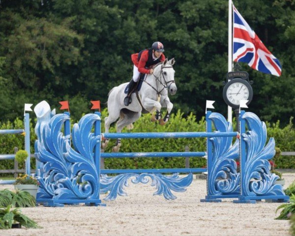 Springpferd Fiorucci (Belgium Sporthorse, 2011, von E Pleasure)