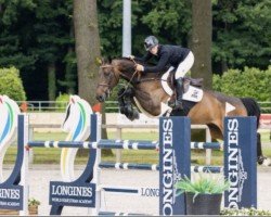 jumper Quabriolet van het Bildeken (Belgian Warmblood, 2016, from Anakin)