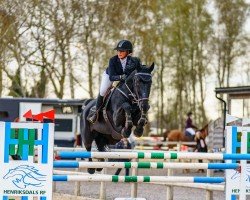 Springpferd High Hope (Schwedisches Warmblut, 2007, von Etrusco)