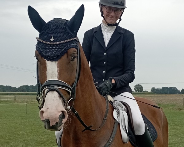 jumper Smashed Potato Ba (Hanoverian, 2020, from Stanley)